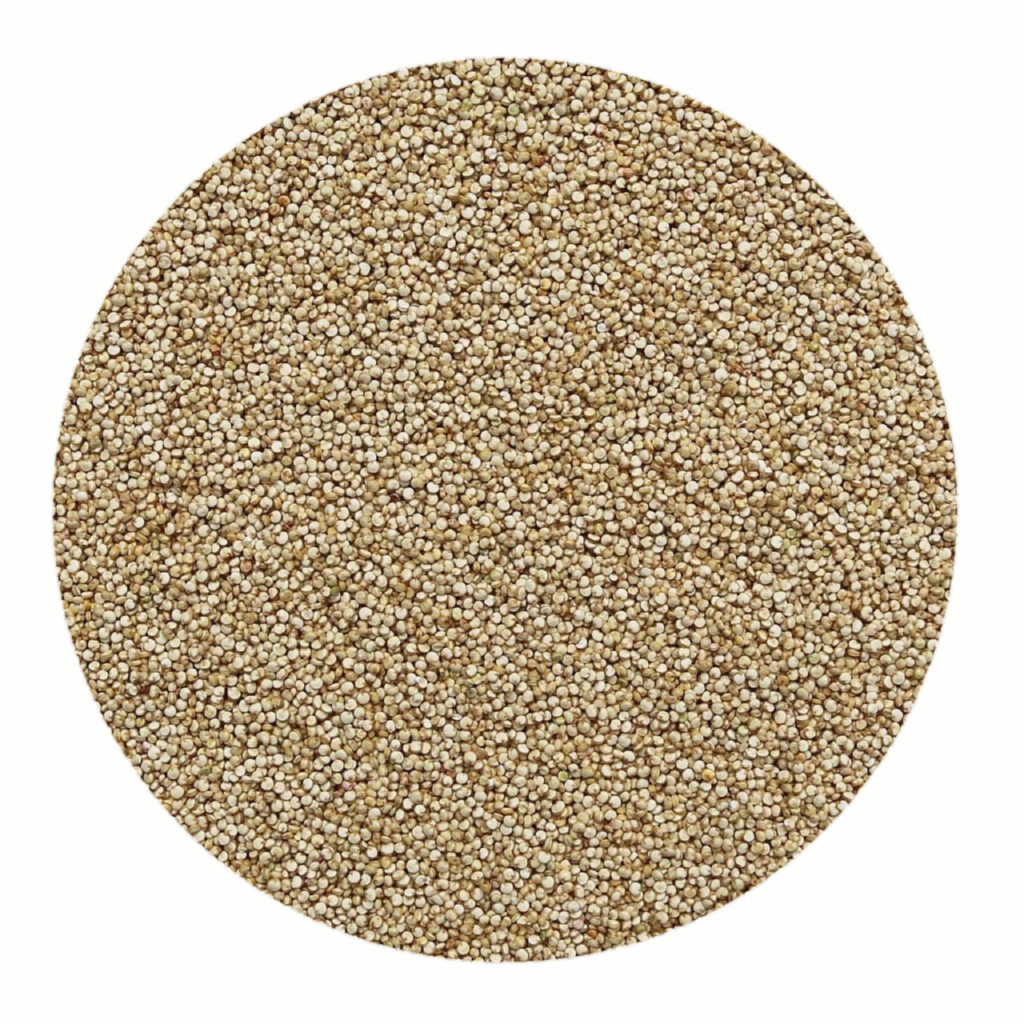 quinoa bianca